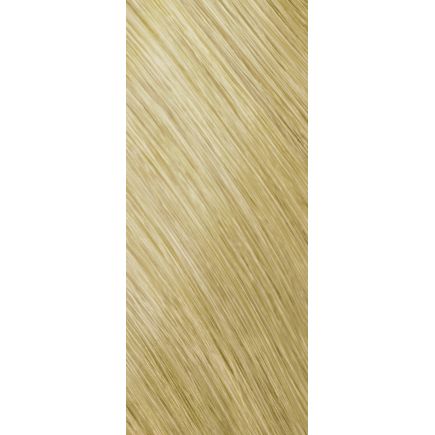 Goldwell Topchic Permanent Hair Colour 10N - Extra Light Blonde (60ml)