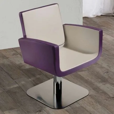 Salon Ambience You Hydraulic Styling Chair - Silver 5-Star Base