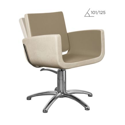 Salon Ambience You Recl.+Headrest Hydraulic Styling Chair Five Star Silver