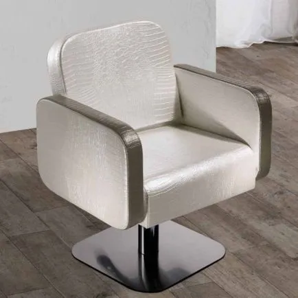 Salon Ambience Icon Styling Chair Five Star Silver Base