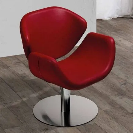 Salon Ambience Olimpia Styling Chair Round Silver Base