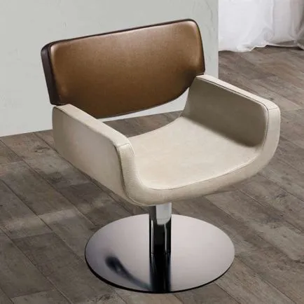 Salon Ambience Quadro Hydraulic Styling Chair Five Star Silver