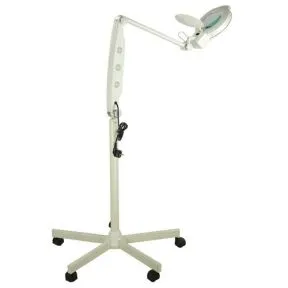 Crewe Orlando LED Mag Lamp with Pole and Base