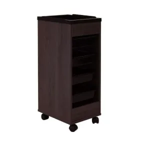 REM Stadium Salon Trolley (Accessory Top) - Bonobo Oak